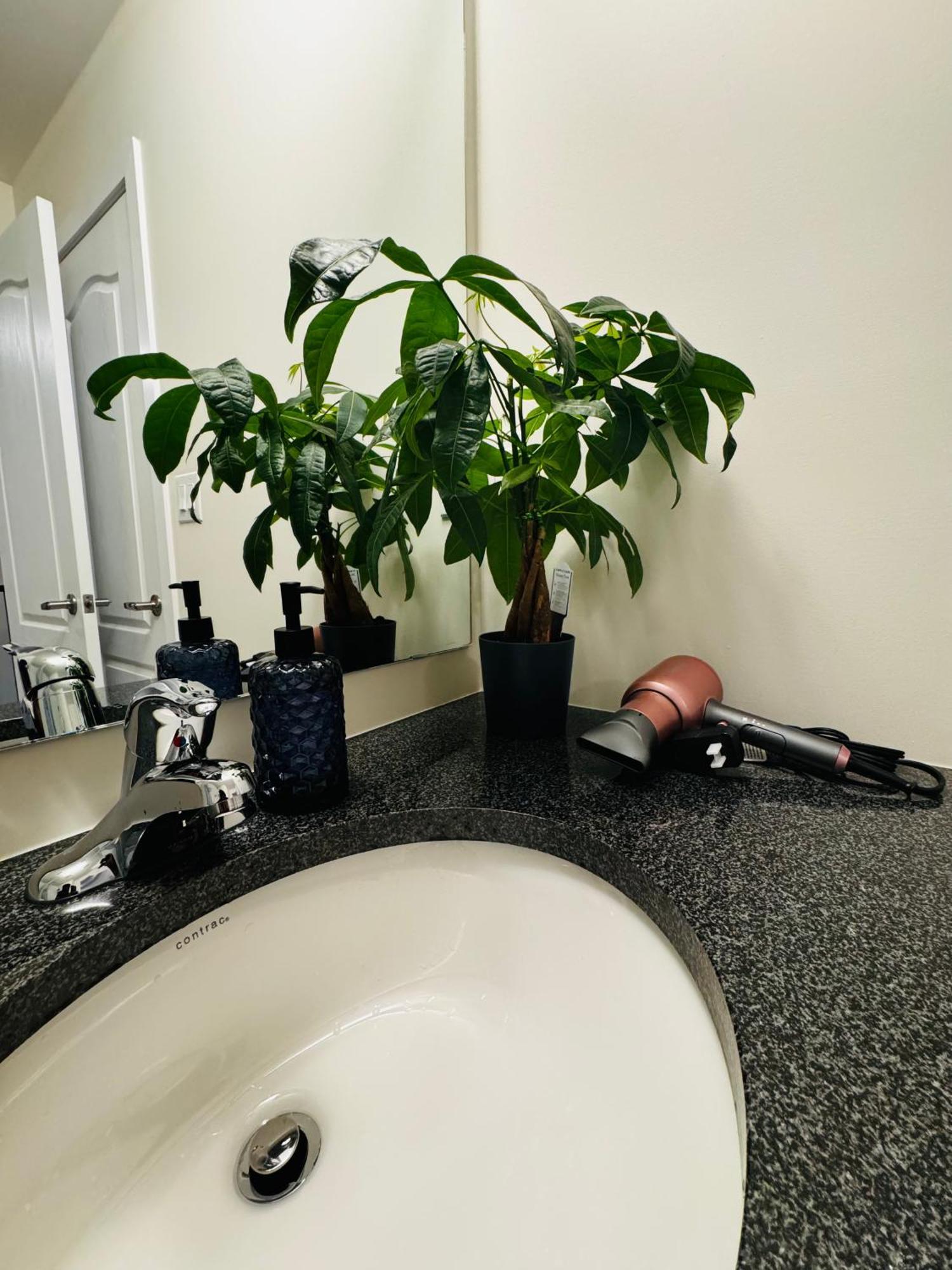 Have Whole House To Yourself Thorold Extérieur photo